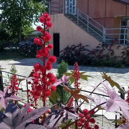 Pansiyon Away From *